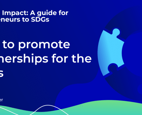 How to promote partnerships for the SDGs